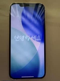 Apple iPhone 12 Pro 本体のサムネイル