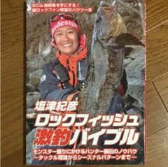 ロックフィッシュ激釣バイブルのサムネイル