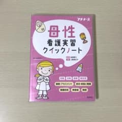 母性看護実習クイックノートのサムネイル
