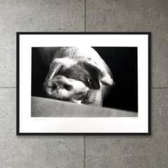 額装品/Animal I/マキシムゴダール/限定65枚/サイン・ナンバリング入/ 額装品/Animal I/マキシムゴダール/限定65枚/サイン