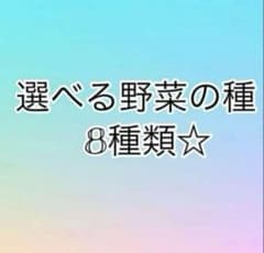 選べる野菜の種8種