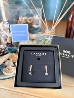 coach newyork ピアス【値下げ中】のサムネイル