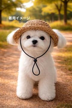 ペット用夏用ハット(ベージュ系)のサムネイル
