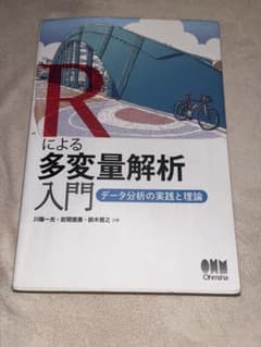 Rによる多変量解析 入門 データ分析の実践と理論のサムネイル