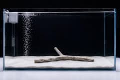 天然流木のサムネイル