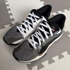 NIKE ズームフリーク2のサムネイル