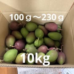 宮崎県産 摘果マンゴー グリーンマンゴー 10kgのサムネイル