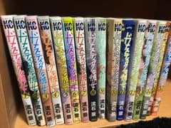 ドメスティックな彼女1〜16巻セットのサムネイル