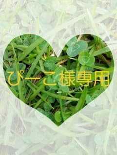 ぴーこ様専用☆新幹線タンクトップ2枚組のサムネイル