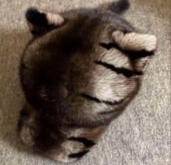 高級毛皮 毛皮の宝石 ミンクファー 猫耳ファーキャップ リアルファー