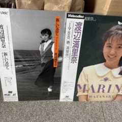 渡辺満里奈レーザーディスクLDセット - メルカリ