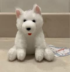 m16634617662_1.jpg?1731775878