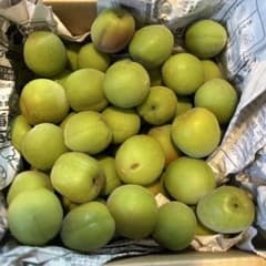 和歌山県産 南高梅 3kg 農薬不使用 サイズ混合② - メルカリ