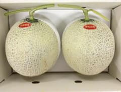 ぴ*読様 高知県産　赤肉メロン　5玉入り　約9.7㎏（下箱込み） 高知県産 温室赤肉メロン 2玉入り約3.4kg（下箱込み） - メルカリ