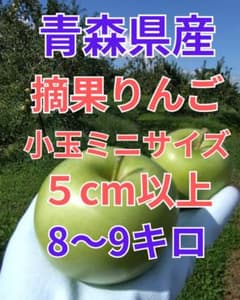 摘果りんご小玉ミニ5ｃｍ以上☆8～9kg☆こうとく&アンビシャス&青林&サンふじのサムネイル