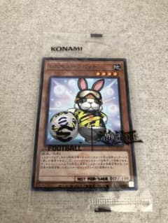 レスキューラビット (遊戯王OCG)、ネイマールのサムネイル