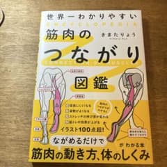筋肉のつながり図鑑 きまたりょう KADOKAWAのサムネイル