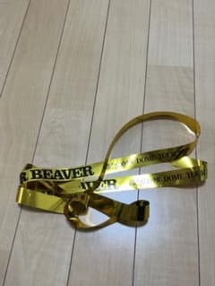 SUPER BEAVER 都会のラクダ DOME TOUR 2026 銀テープのサムネイル