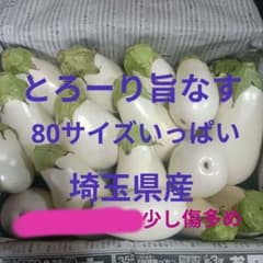 とろーり旨なす　 白なす 白ナス　詰め合わせ　80サイズ　傷あり　訳ありのサムネイル
