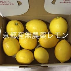 京都府産 無農薬レモン Mのサムネイル