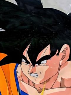 セル画】③ ドラコンボールZ 悟空 動画、撮影記録有り - メルカリ