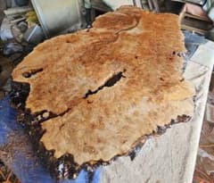 サマーセール 楓 一枚板 瘤杢 ダイニング テーブル 座卓 栃 最高級