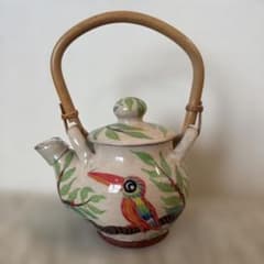 石垣島 南島焼 アカショウビンの酒器 奈美ロリマー 極美品 石垣島 南島焼 アカショウビンの急須 奈美ロリマー 極美品 - メルカリ
