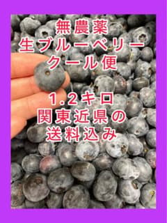 ⬛︎無農薬⬛︎生ブルーベリー⬛︎1.2キロ⬛︎クール便のサムネイル