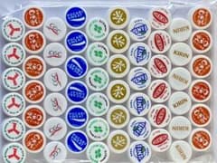 ペットボトルキャップ 白系60個 デザインの工作素材