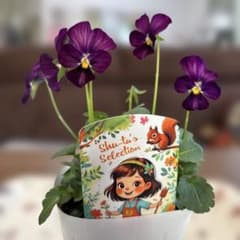 入手困難パルプンテビオラ1ポットShu-ta's Selection - メルカリ