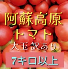阿蘇高原トマト訳あり夏秋トマト‼️朝採れたて‼️7/9収穫 5名限定‼️翌日発送‼️のサムネイル