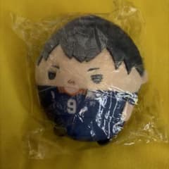 影山飛雄 ぬいのサムネイル