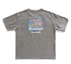 back number Tour 2026 ダメージウォッシュドTシャツ M - メルカリ