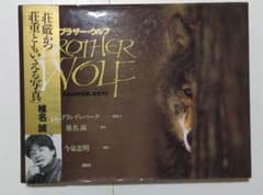 BROTHER WOLF ジム・ブランデンバーグ著 - メルカリ