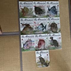 投げ釣り倶楽部 雑誌 10冊セットのサムネイル