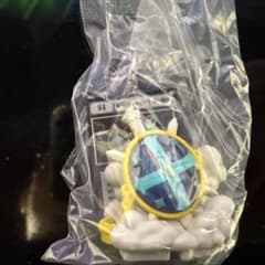 HUNTER×HUNTER 가샤폰! 컬렉션 성기사의 목걸이