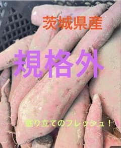 茨城県産農家直送紅はるか　約10kg弱　掘り立てホヤホヤです
