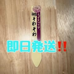 そわそわ　多肉　ミックスベリアのサムネイル