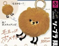 毛玉っぽポメチャーム（オレンジ）のサムネイル