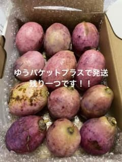 ラスト一箱　値下げ　本日採れたて＊ 中〜大　アケビ　ムベのサムネイル