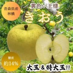 ★期間限定★青森県産 きおう 激レア りんご 大玉&特大玉 贈答用 6~8玉 ㉞のサムネイル
