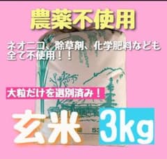 在庫残りわずか】農薬不使用 化学肥料不使用 玄米 大粒 選別済み