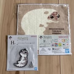 이치 반 쿠지 파충류 & 양서류 니시 아프리카 도마뱀 목 수건 고무 2 점 세트