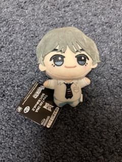 [익명·고속 발송] BTS TinyTAN DNA 치비구루미 테테 V 태현