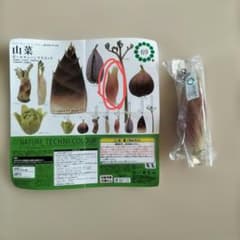 ネイチャーテクニカラー　山菜　ボールチェーンマスコット　ミョウガ　ガチャガチャのサムネイル