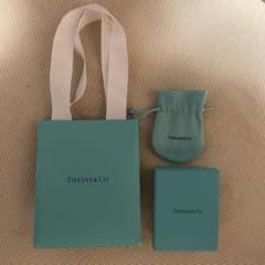 【Tiffany&Co】スターリング シルバー チェーンネックレスのサムネイル