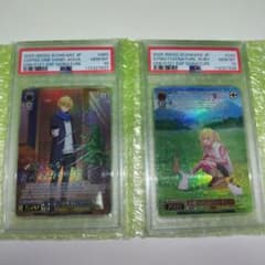 ヴァイス コーヒーを片手に アクア 自然とのふれあい ルビー SSP PSA10