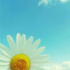 百合様 専用ページのサムネイル