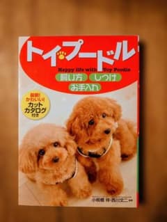 トイ・プードル 飼い方 しつけ お手入れのサムネイル