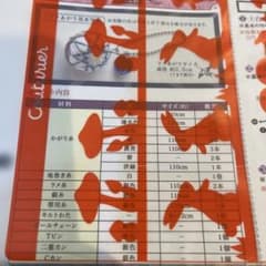 abety様専用♪フェリシモ　絹糸のちいさなてまりキット❤︎のサムネイル